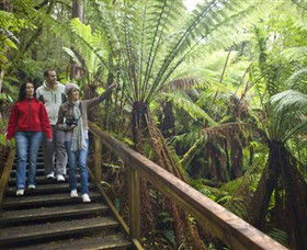 Otway Fly Treetop Adventures - Attractions 0