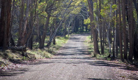 Coolah Tops National Park - Attractions Las Vegas 1