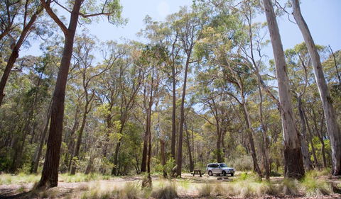 Coolah Tops National Park - Attractions Las Vegas 0
