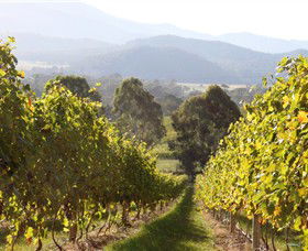 Pizzini Wines King Valley - Attractions 3