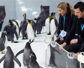 SEA LIFE Melbourne Aquarium - Attractions 2
