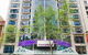 Collins234 Boutique Place - thumb 0