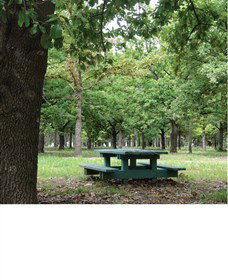 Lindsay Pryor National Arboretum - See Attractions 1