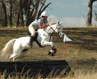 National Equestrian Centre - Kerrabee