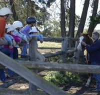 Harlow Park Horse Riding - Attractions