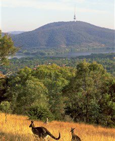 Canberra Centenary Trail - Attractions 0