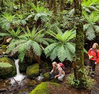 Baw Baw National Park - Attractions