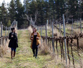 Mount Majura Vineyard - Attractions 0