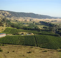 Lerida Estate Winery and Restaurant - Attractions