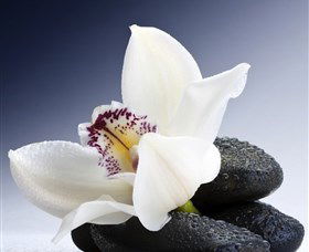 H2O Spa - Attractions 1