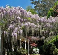 Nooroo Gardens - Attractions