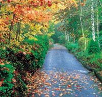 Mount Wilson and Mount Irvine - Attractions