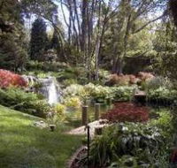 Windyridge Garden Mount Wilson - Attractions