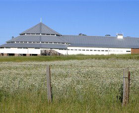 Deeargee Woolshed - Attractions 0