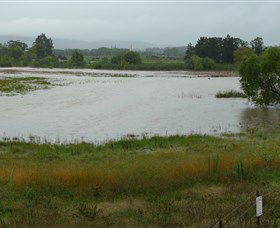 Jerrabomberra Wetlands - Attractions 1