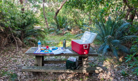 Little Llangothlin Picnic Area - Attractions 0