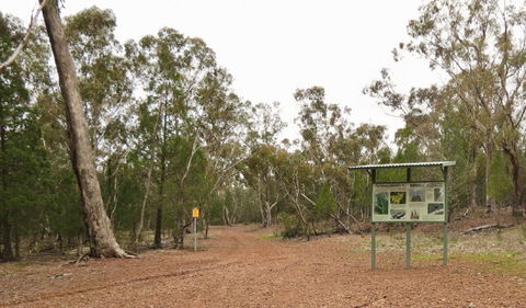 Little Llangothlin Picnic Area - Attractions 2
