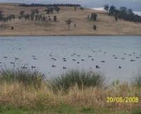 Lake Liddell Recreation Area