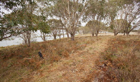 Lagoon Circuit Walking Track - Attractions 1