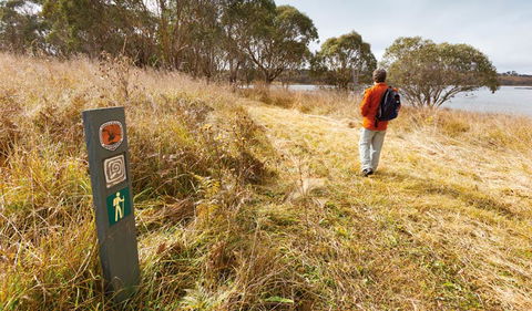 Lagoon Circuit Walking Track - Attractions 2