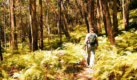 Federal Pass - Attractions 0
