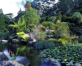 Blue Mountains Botanic Garden - Attractions 1