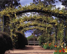 Blue Mountains Botanic Garden - Attractions 0
