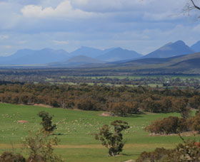 Sukey Hill Lookout - Attractions 0