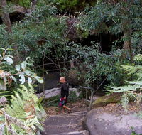 Leura Cascades Fern Bower - Attractions