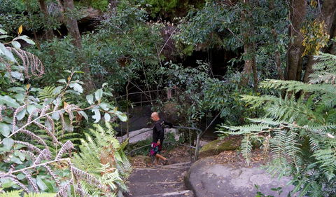Leura Cascades Fern Bower - Attractions 0