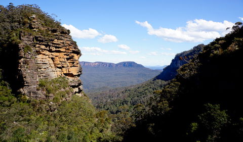Leura Cascades Fern Bower - Attractions 1