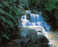 Book Leura Accommodation Vacations Attractions Attractions