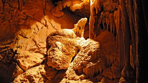 Wombeyan Karst Conservation Reserve - Attractions 2