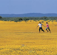 Wildflowers of the Mid West - Attractions