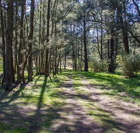 Wombeyan Waterfall walking track - Attractions