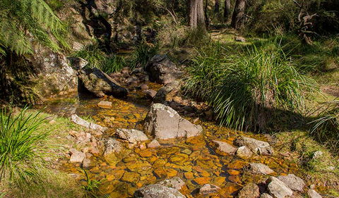 Wombeyan Waterfall Walking Track - Attractions 1