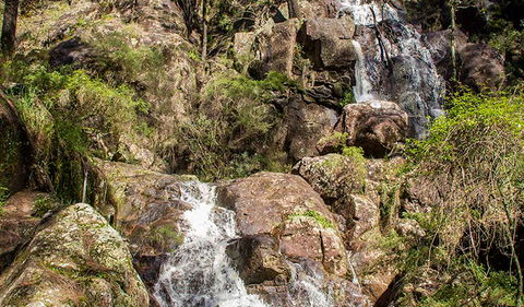 Wombeyan Waterfall Walking Track - Attractions 3