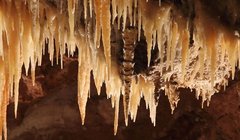 Wollondilly Cave - Attractions Las Vegas 1