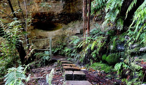 Gordon Falls Lookout And Picnic Area - Attractions 2