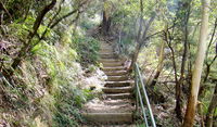 Nature track