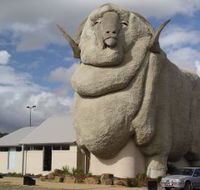 Big Merino - Attractions