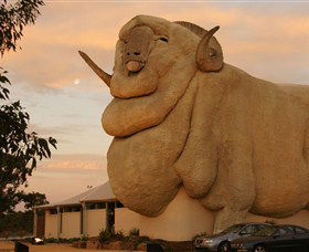 Big Merino - Attractions 3