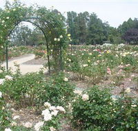 Victoria Park Rose Garden - Attractions