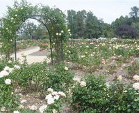 Victoria Park Rose Garden