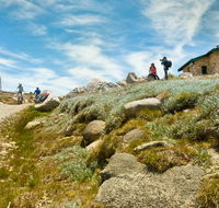 Mount Kosciuszko Summit walk - Attractions