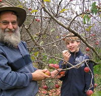 Pine Crest Orchard - Attractions