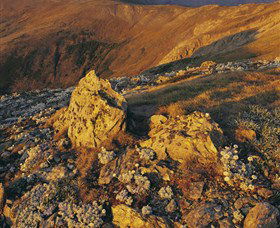 Kosciuszko National Park - Charlottes Pass To Snowy River - Attractions 1