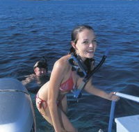Seal Cove - Attractions