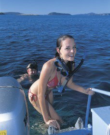 Seal Cove - Attractions Las Vegas 0