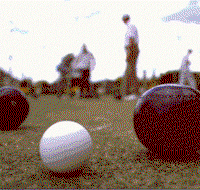 Goulburn Railway Bowling Club - Attractions